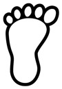 Les Editeurs de Logiciel : Le chemin vers un nouvel Eldorado Les Editeurs de Logiciel : Le chemin vers un nouvel Eldorado