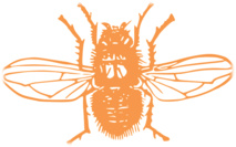 Consolidations : Une voie avec une issue ? Consolidations : Une voie avec une issue ?